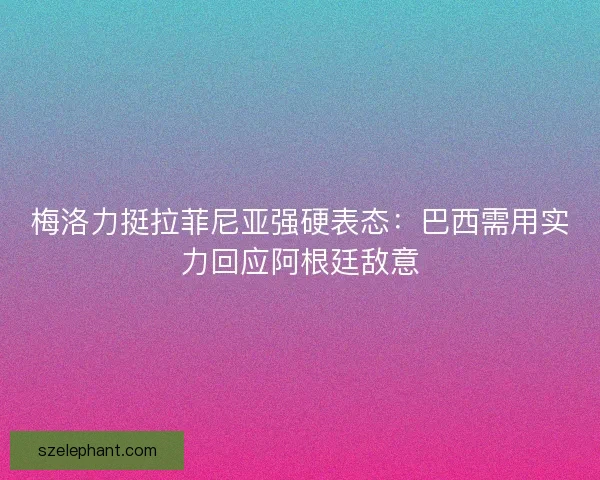 梅洛力挺拉菲尼亚强硬表态：巴西需用实力回应阿根廷敌意